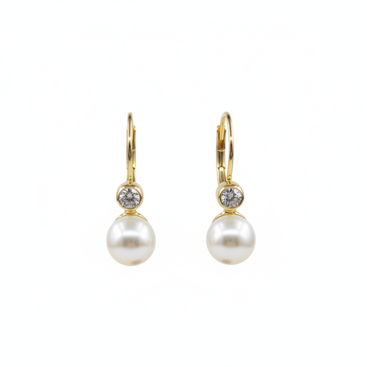 Earrings (E05)