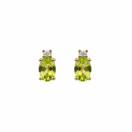 Earrings (E08)